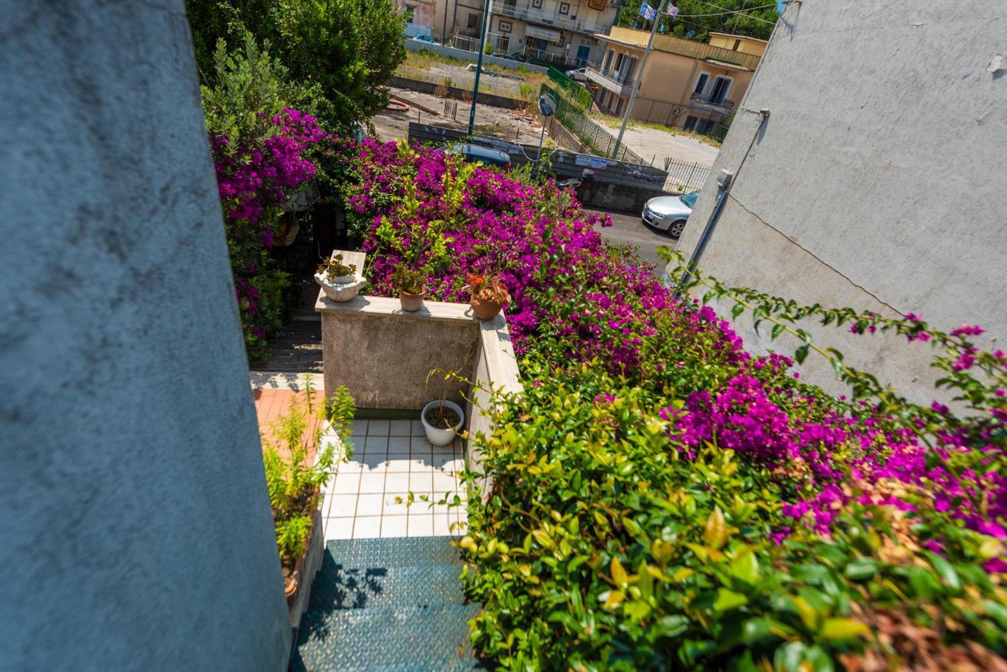 Apartament Terra Mia In Terrazza Pompeja Zewnętrze zdjęcie